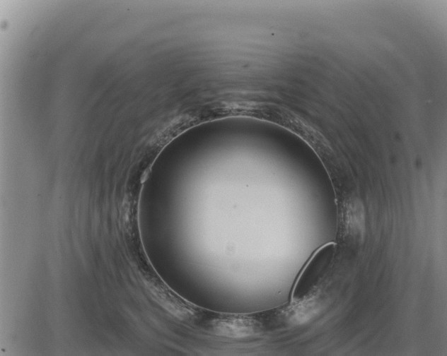 X0000084600567200703021629