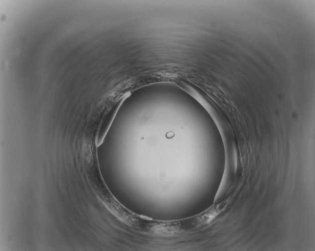 X0000084600568200703021629