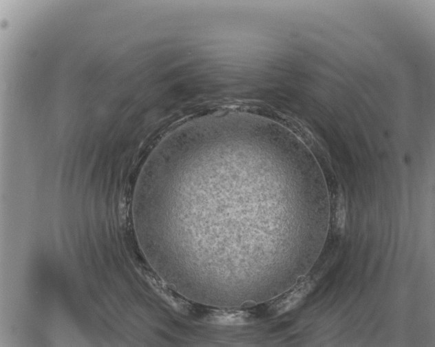 X0000084600569200703021629