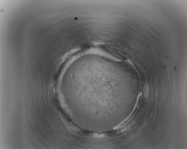 X0000084600570200703021629