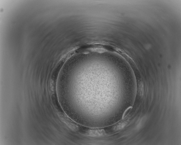 X0000084600571200703021629