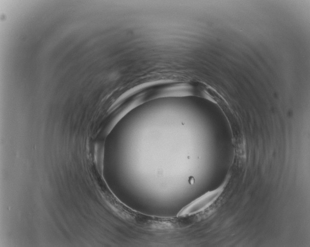 X0000084600572200703021629