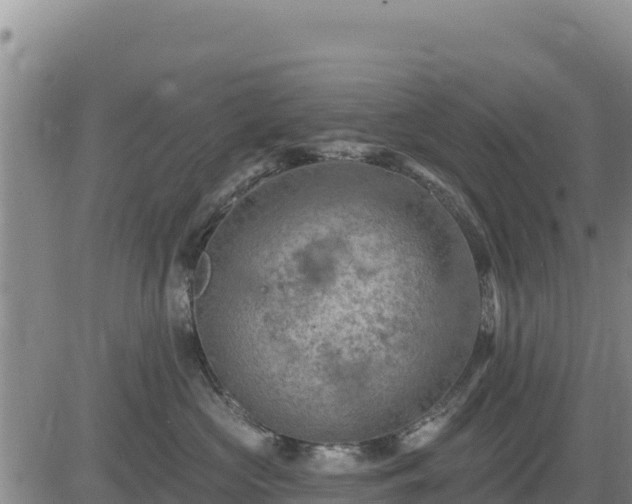 X0000084600573200703021629