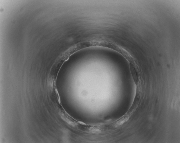 X0000084600574200703021629