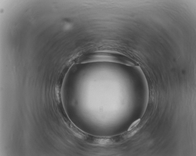 X0000084600575200703021629