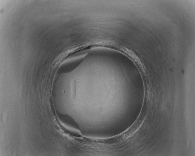 X0000084600577200703021628