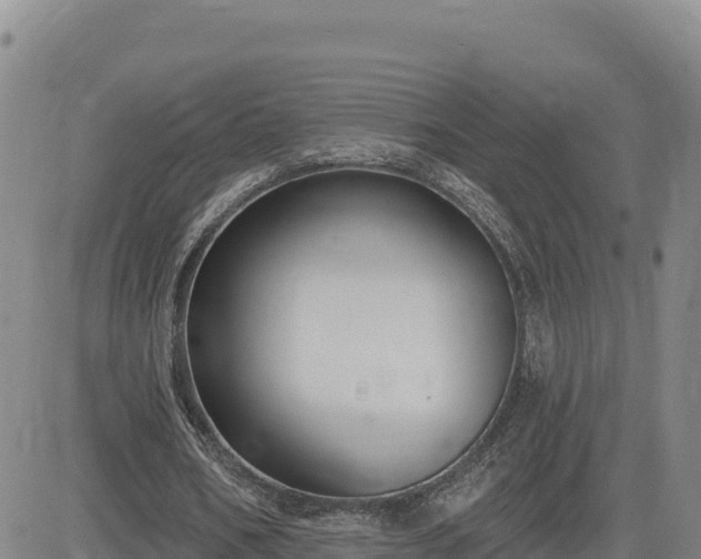 X0000084600578200703021628