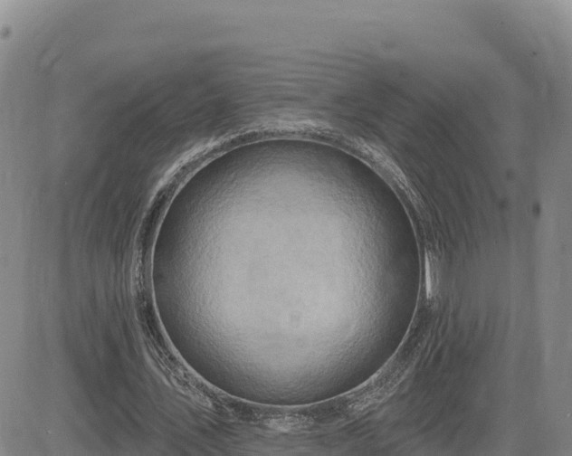 X0000084600579200703021628