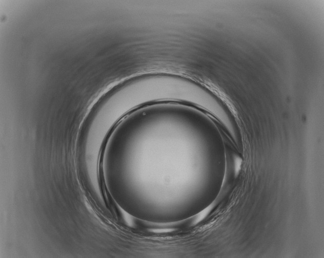 X0000084600580200703021628