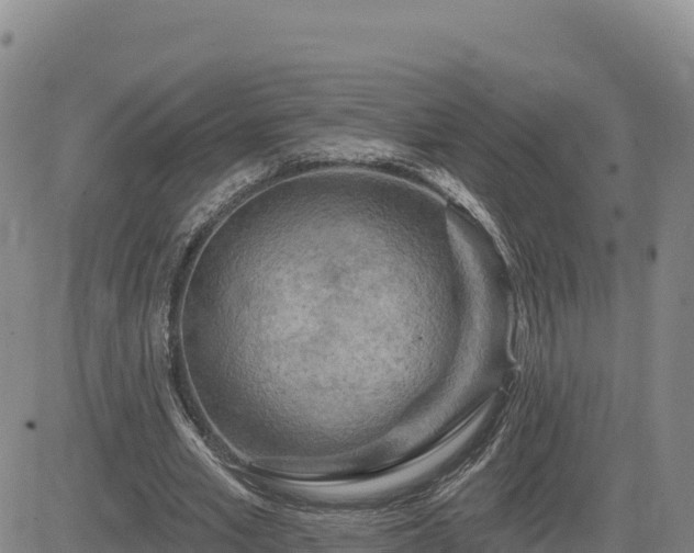 X0000084600581200703021628