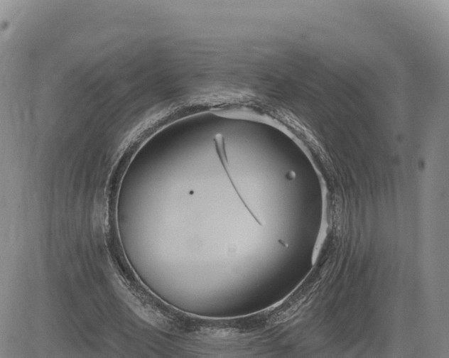 X0000084600582200703021628