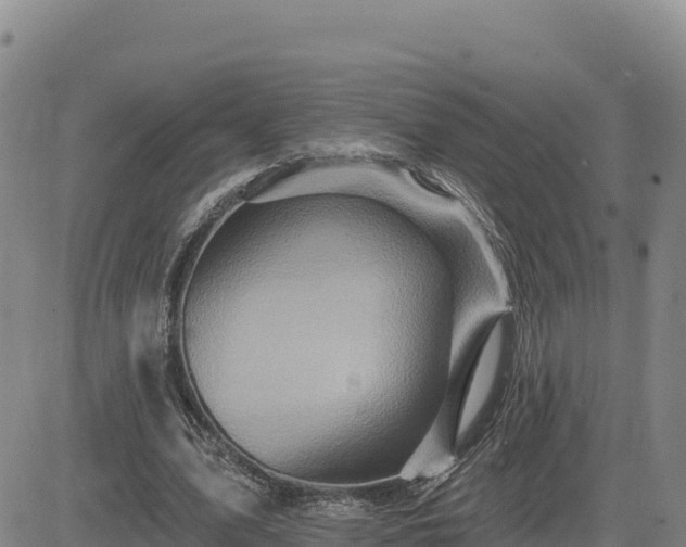 X0000084600583200703021628