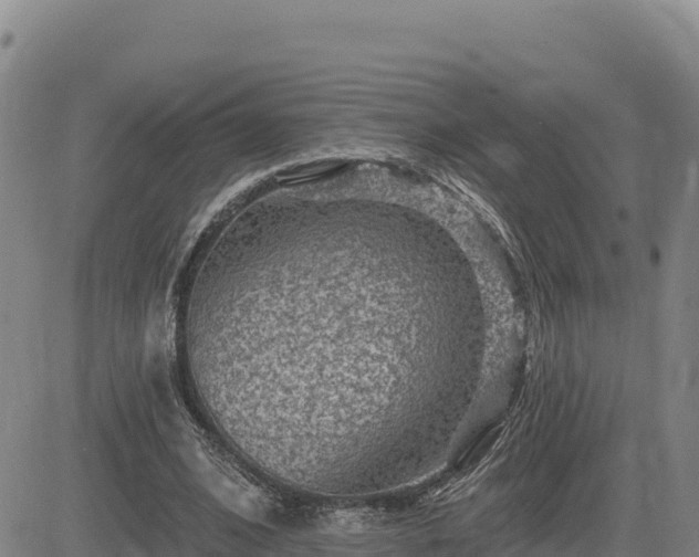 X0000084600584200703021628