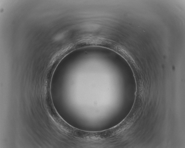 X0000084600586200703021628