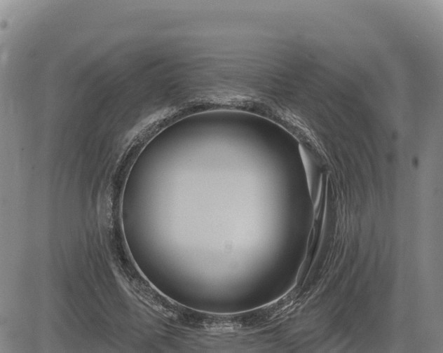 X0000084600587200703021628