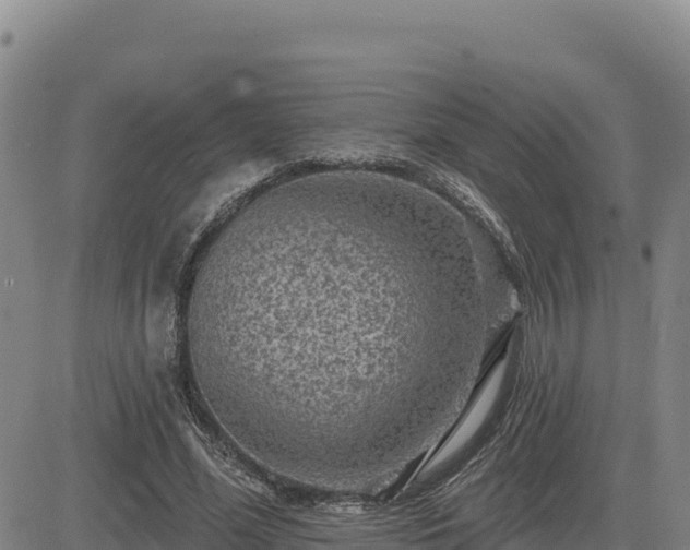 X0000084600588200703021628