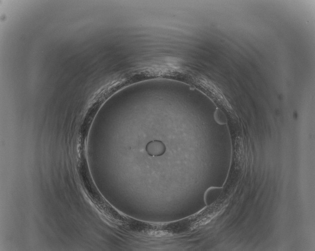 X0000084600590200703021628