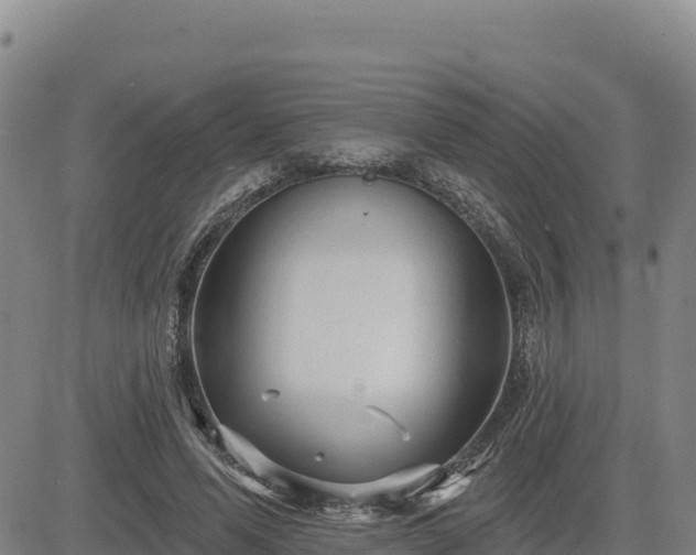 X0000084600591200703021628