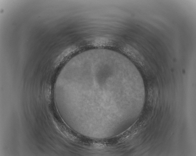 X0000084600592200703021628