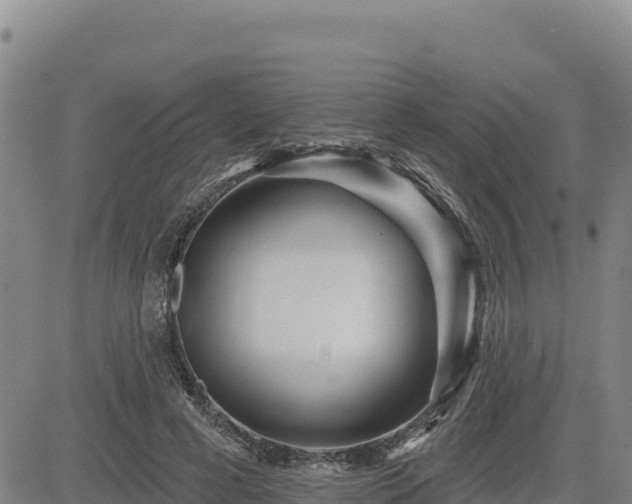 X0000084600593200703021628