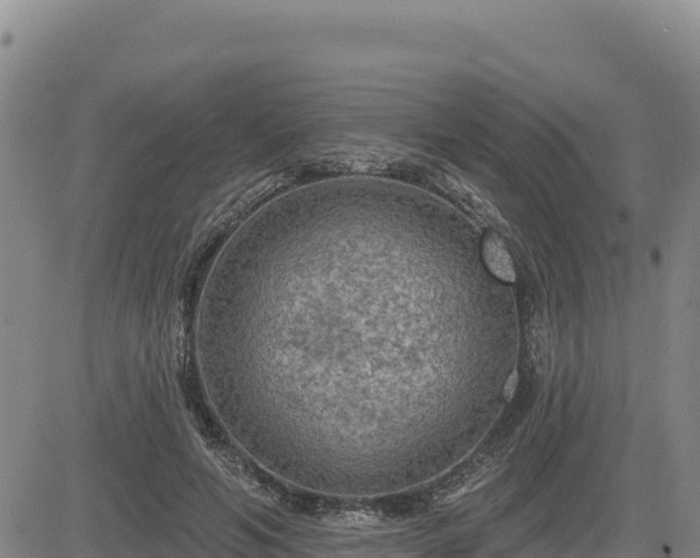 X0000084600594200703021628