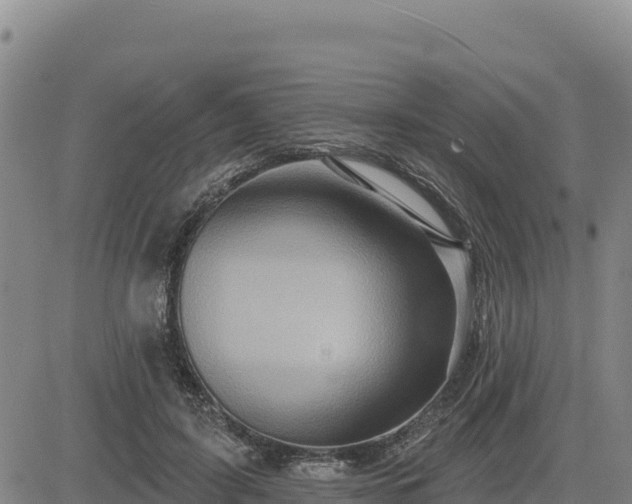 X0000084600595200703021628