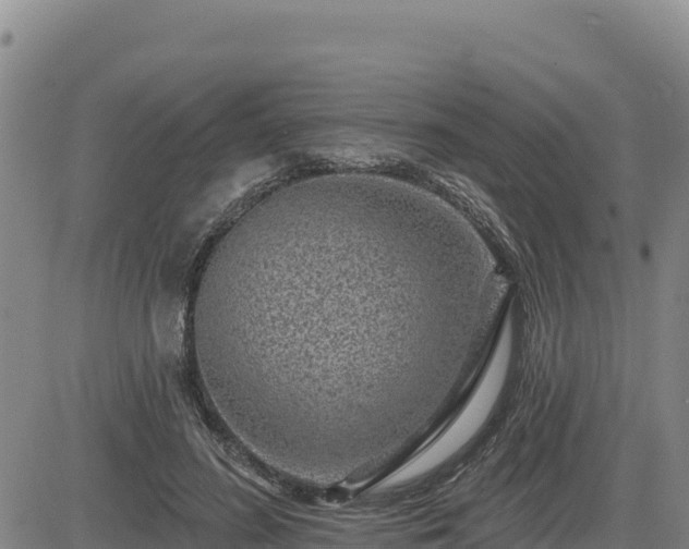 X0000084600596200703021628