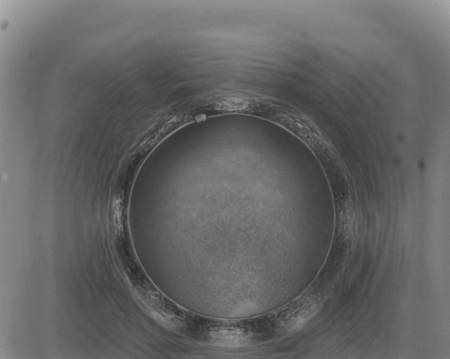 X0000084600598200703021628