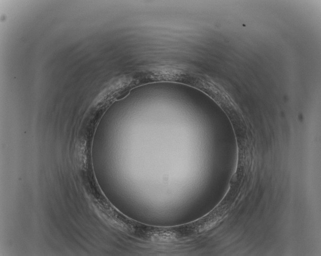 X0000084600599200703021628