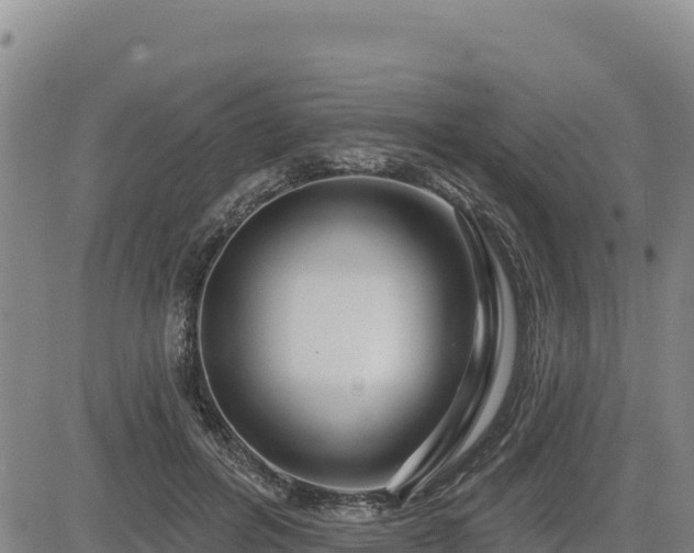 X0000084600600200703021628