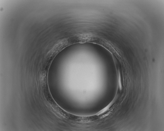 X0000084600601200703021628