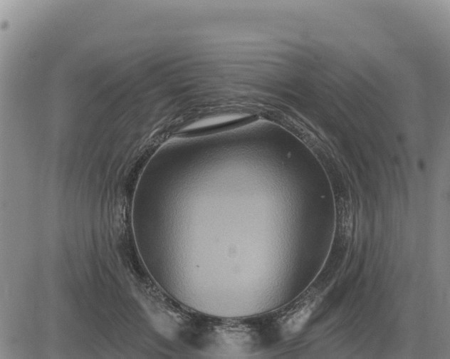 X0000084600603200703021628