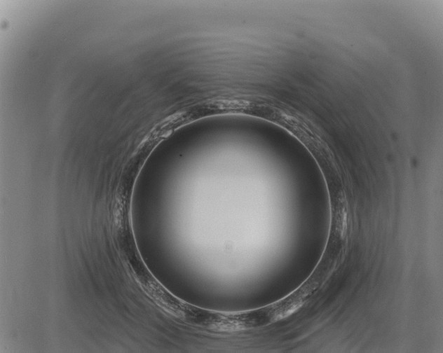 X0000084600604200703021628