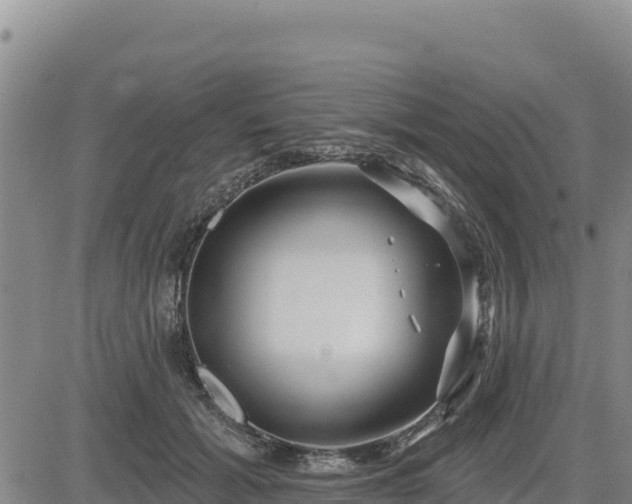 X0000084600605200703021628