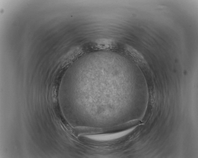 X0000084600606200703021628