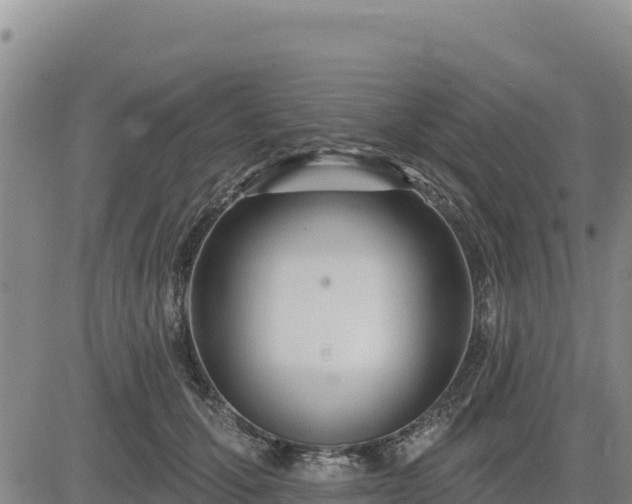 X0000084600607200703021627