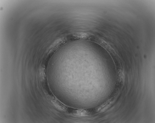 X0000084600612200703021627