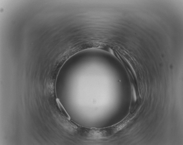 X0000084600613200703021627