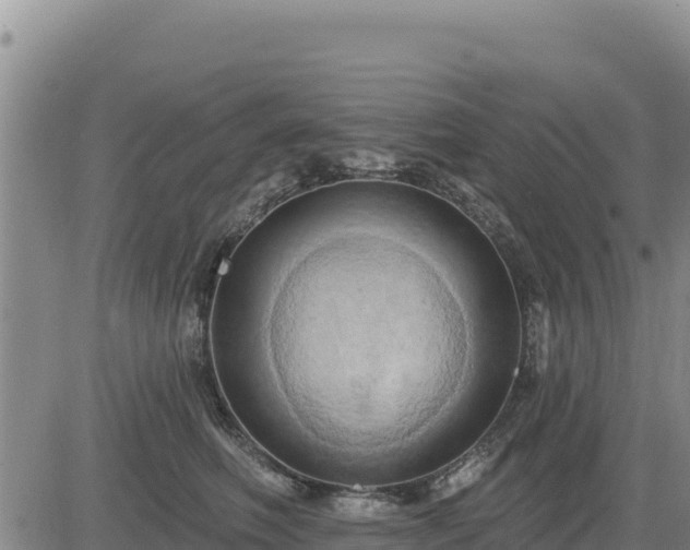 X0000084600614200703021627