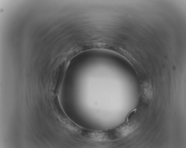 X0000084600615200703021627