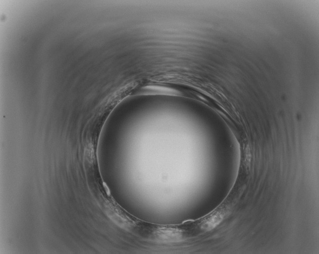 X0000084600617200703021627