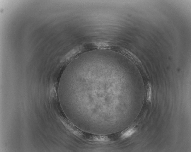 X0000084600618200703021627