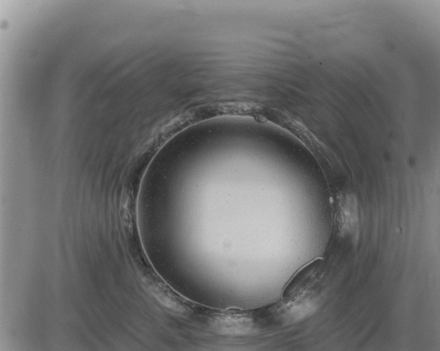 X0000084600619200703021627