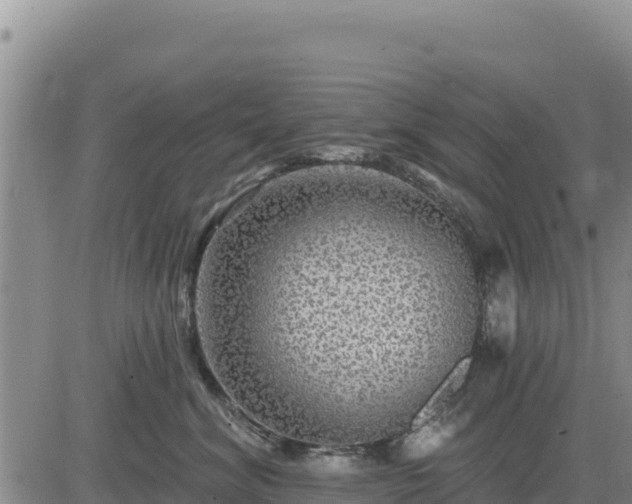 X0000084600620200703021627