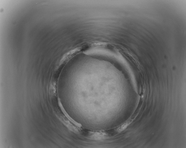 X0000084600621200703021627