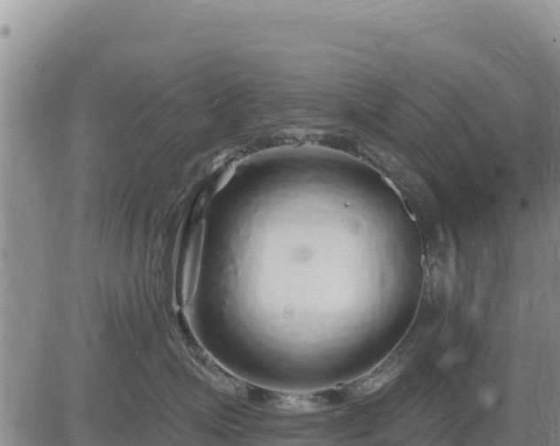 X0000084600623200703021627