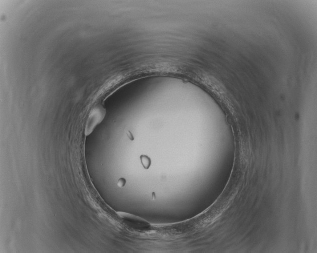 X0000084600625200703021626