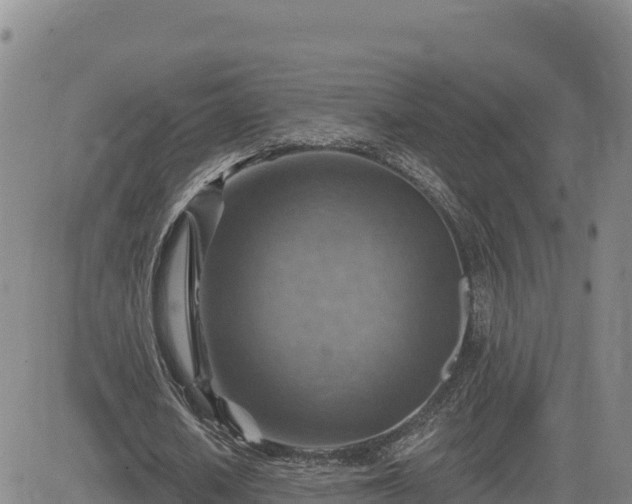 X0000084600626200703021626