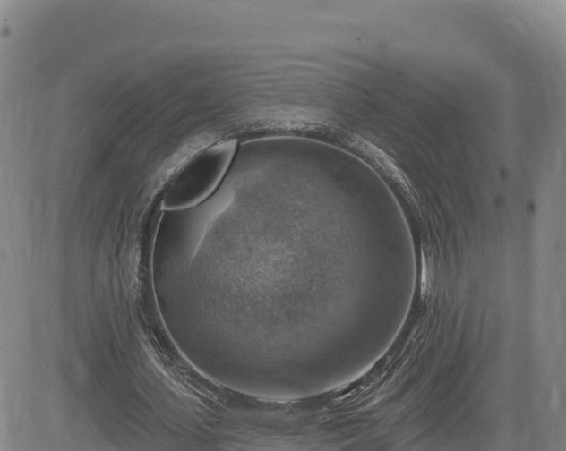 X0000084600627200703021626