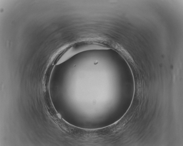 X0000084600628200703021626